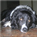 Sampras was adopted in March, 2008